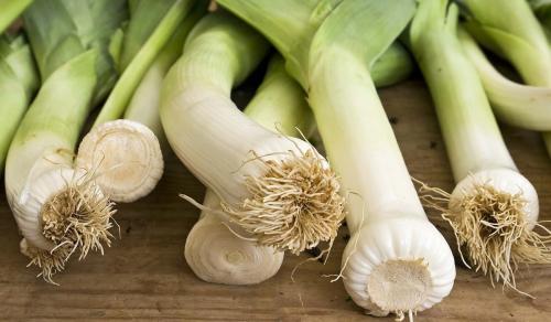 Как вырастить лук-порей на подоконнике. Как вырастить лук-порей в домашних условиях