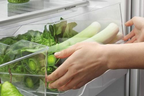 Как правильно хранить лук-порей в холодильнике. Где и как правильно хранить лук-порей