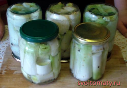 Как мариновать лук-порей на зиму. Маринованный лук-порей на зиму