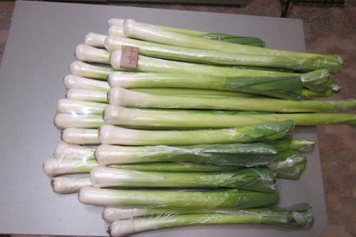 Как заморозить лук-порей на зиму