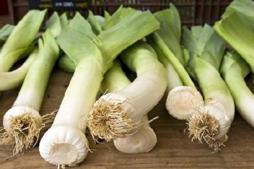 Когда убирают лук-порей в сибири. Когда нужно убирать лук-порей с грядки на хранение?