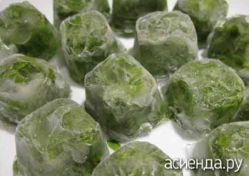 Как правильно хранить базилик