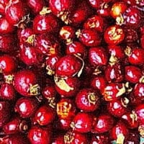 Сбор боярышника и шиповника – когда собирать, как сушить