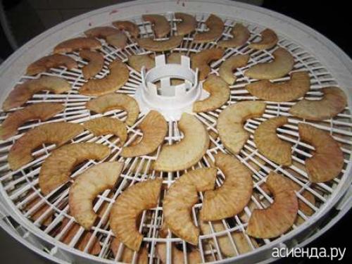 Какие методы сушки яблок наиболее эффективны. Способы сушки яблок