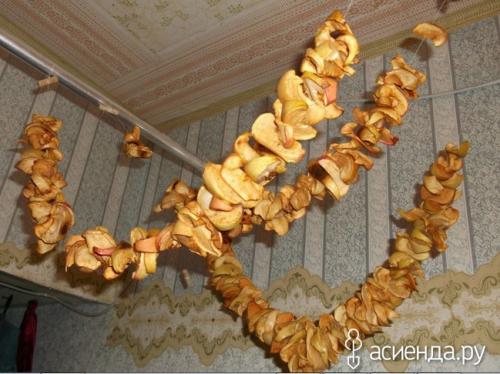 Какие методы сушки яблок наиболее эффективны. Способы сушки яблок