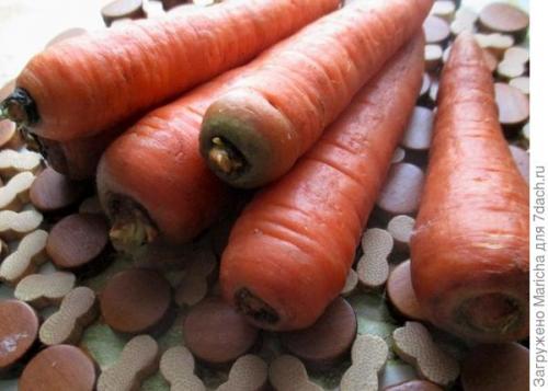 Как хранить морковь в погребе зимой в домашних условиях. До весны морковь, поверь, сохранится без потерь!