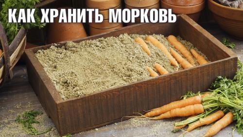 Какие преимущества имеет хранение моркови в песке. Преимущества и недостатки хранения моркови в песке, пошаговая инструкция