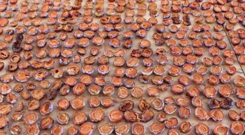 Как сушить яблоки на зиму в духовке газовой плиты. Яблоки из духовки – обзор традиционного способа приготовления 02