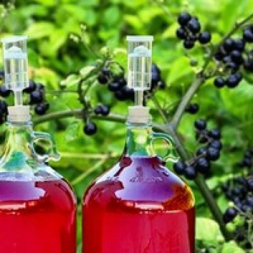 Сушить ранетки в духовке. Пошаговая инструкция 14