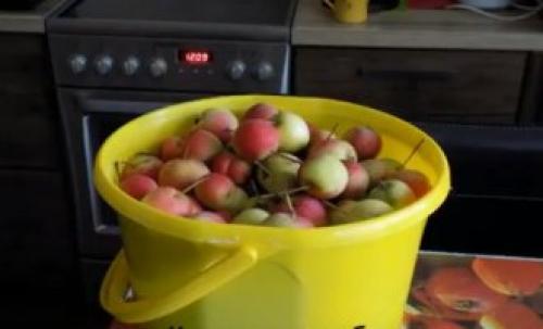 Как сушить яблоки в духовке с конвектором. Как правильно сушить яблоки в домашней духовке или на газовой плите 01 Как сушить яблоки в духовке с конвектором. Как правильно сушить яблоки в домашней духовке или на газовой плите 01