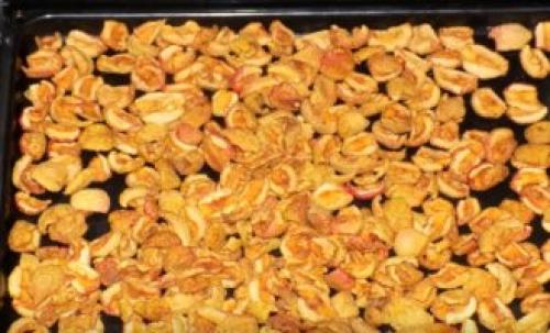 Как сушить яблоки в духовке с конвектором. Как правильно сушить яблоки в домашней духовке или на газовой плите 07 Как сушить яблоки в духовке с конвектором. Как правильно сушить яблоки в домашней духовке или на газовой плите 07