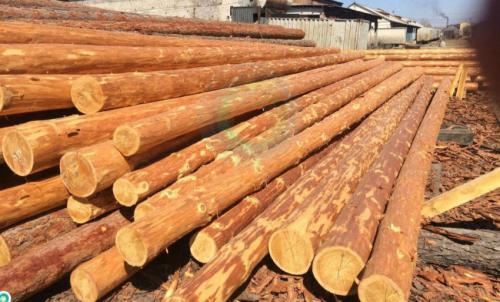 Что такое электрический столб на участке