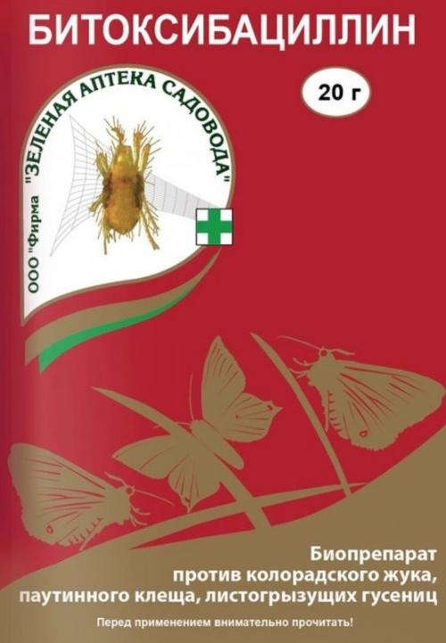 Огневка на красной смородине. Как бороться с огневкой на смородине