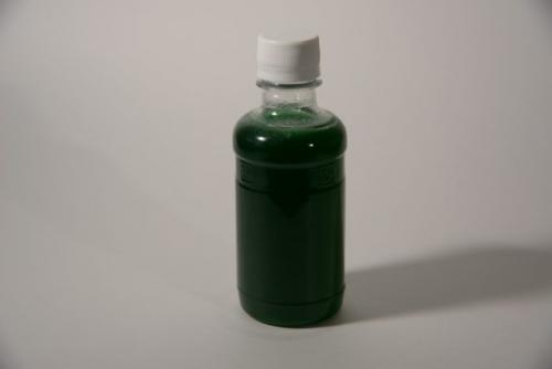 Огневка на смородине, как бороться. Как бороться с огневкой на смородине