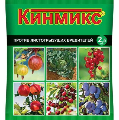 Огневка на красной смородине. Как бороться с огневкой на смородине