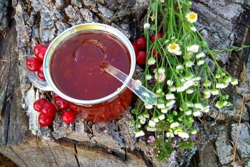 Можно ли замораживать боярышник вместе с другими фруктами. 20 отличных рецептов, что приготовить с боярышником