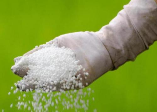 Груша осенью: лучшие удобрения для роста и урожая 02 Груша осенью: лучшие удобрения для роста и урожая 02