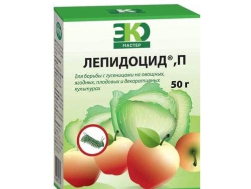 Огневка, как бороться. Как бороться с огневкой на смородине