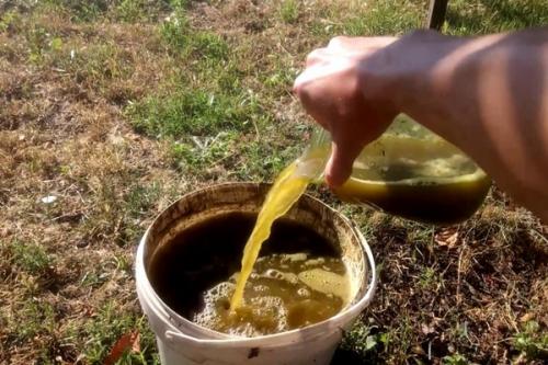Какие факторы могут повлиять на результаты подкормки груши. Сколько всего груше требуется подкормок