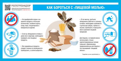Как бороться с огневкой на смородине и крыжовнике. Как бороться с огневкой на крыжовнике? 07