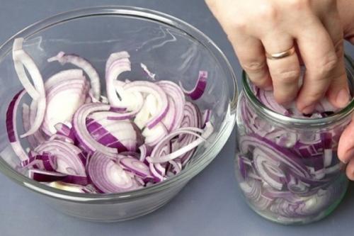 Вредители смородины стеклянница. Как избавиться от стеклянницы на смородине