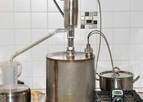 Можно ли использовать Изабеллу для вина и чачи для медицинских целей