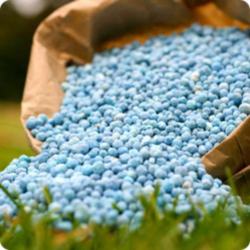 Подготовка садового участка к зиме. КАК ПОДГОТОВИТЬ САД К ЗИМЕ