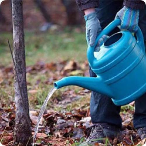 Подготовка садового участка к зиме. КАК ПОДГОТОВИТЬ САД К ЗИМЕ