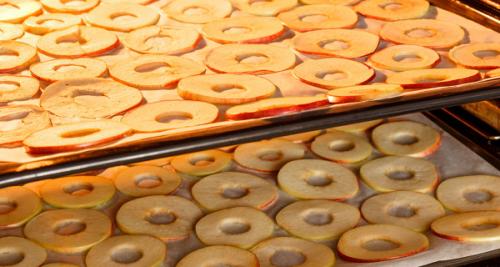 Можно ли использовать электродуховку с вентиляцией для сушки яблок, если она не имеет специального режима сушки