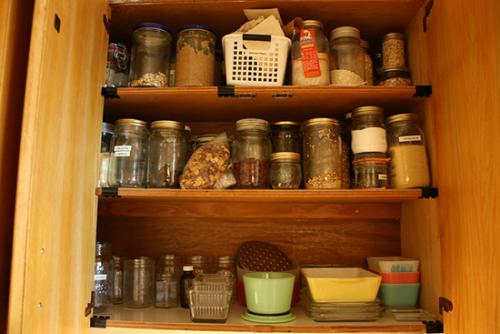 Огневка, как бороться. Почему огнёвки облюбовали именно вашу квартиру?