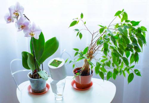 Автоматический полив на участке. Откуда брать воду 02 Автоматический полив на участке. Откуда брать воду 02