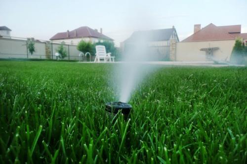 Система полива на даче. Капельный полив: капельницы, спринклеры, микроразбрызгиватели