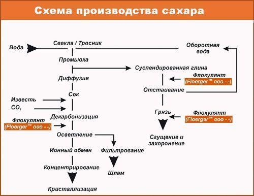 Производство сахара из свеклы. Производство сахара