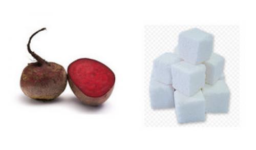 Сколько нужно сахарной свеклы для производства 1 кг сахара. Производство сахара из свеклы