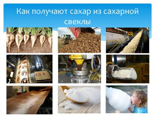 Технология производства сахара в домашних условиях. Как сделать сахар — пошаговая инструкция приготовления в домашних условиях. 20 фото и видео лучших рецептов