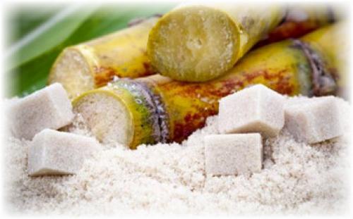 Сколько нужно сахарной свеклы для производства 1 кг сахара. Производство сахара из свеклы