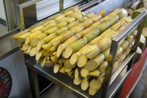 Меласса тростниковая. Все о мелассе