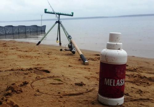 Кристаллы сахара из свёклы и мелассы. Технологическая линия производства сахара-песка из сахарной свеклы 13 Кристаллы сахара из свёклы и мелассы. Технологическая линия производства сахара-песка из сахарной свеклы 13