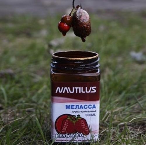 Кристаллы сахара из свёклы и мелассы. Технологическая линия производства сахара-песка из сахарной свеклы 14 Кристаллы сахара из свёклы и мелассы. Технологическая линия производства сахара-песка из сахарной свеклы 14