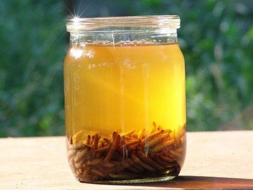 В каких случаях можно использовать настойку пчелиной огневки