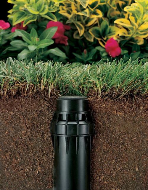 Автополив своими руками для газона. Полив газона — из каких элементов состоит система автополива. 100 фото проектирования и монтажа системы
