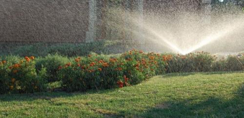 Автополив своими руками для газона. Полив газона — из каких элементов состоит система автополива. 100 фото проектирования и монтажа системы