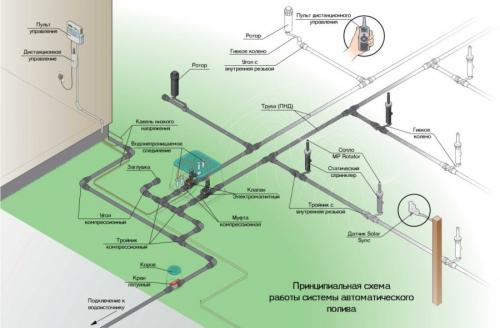 Автополив своими руками для газона. Полив газона — из каких элементов состоит система автополива. 100 фото проектирования и монтажа системы