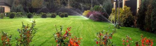 Автополив своими руками для газона. Полив газона — из каких элементов состоит система автополива. 100 фото проектирования и монтажа системы