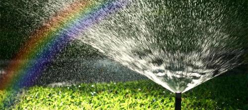 Автополив своими руками для газона. Полив газона — из каких элементов состоит система автополива. 100 фото проектирования и монтажа системы