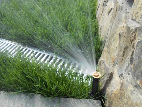 Автополив своими руками для газона. Полив газона — из каких элементов состоит система автополива. 100 фото проектирования и монтажа системы
