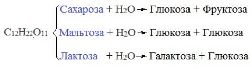 Переработка сахарной свеклы в России. Как перерабатывают сахарную свеклу в России? 08