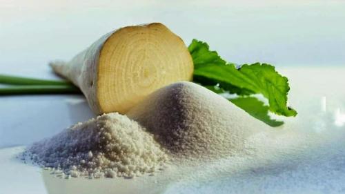 Сколько сахара в свекле. Сахарная свекла и ее полезные свойства