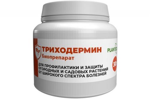 Супер смесь против фитофторы на помидорах. 5 препаратов от фитофторы, которые реально работают