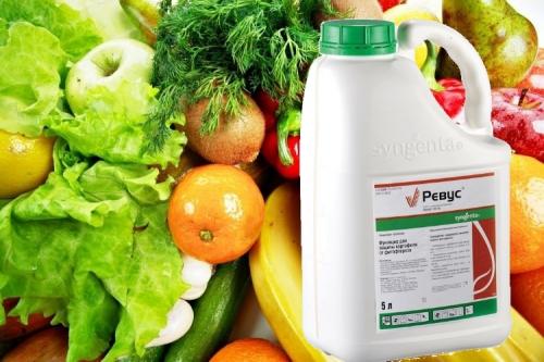 Химия от фитофторы. Лучшие препараты от фитофторы для разных плодовых культур